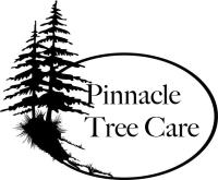 Pinnacle Tree Care image 1