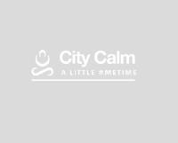 City Calm image 1