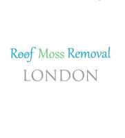 Roof Moss Removal London image 1