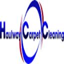 Cleaning carpet business logo