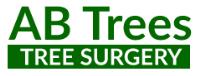 AB Trees Tree Surgery image 2
