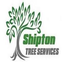 Shipton Tree Services image 1