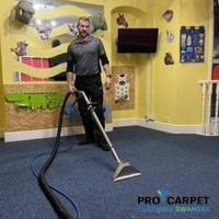 Pro Carpet Cleaning Swansea image 5