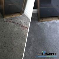 Pro Carpet Cleaning Swansea image 7
