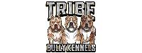 TRIBE BULLY KENNELS image 1