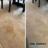 Pro Carpet Cleaning Swansea image 2