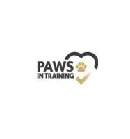 Paws In Training image 4