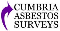 Cumbria Asbestos Survey image 1