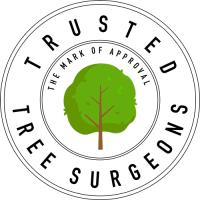 Trusted Tree Surgeons image 2