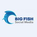 Big Fish Social Media logo