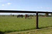 Norcroft Equestrian Developments Ltd image 5