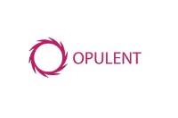 Opulent Investments Limited image 1
