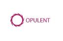 Opulent Investments Limited logo