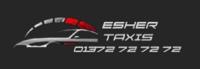 Esher Taxis image 1