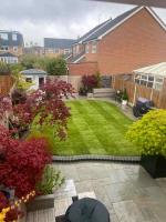 Level Lawns and Landscaping image 1