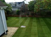 Level Lawns and Landscaping image 11
