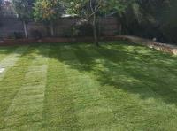 Level Lawns and Landscaping image 10
