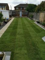 Level Lawns and Landscaping image 13