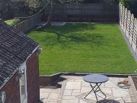 Level Lawns and Landscaping image 15