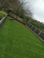 Level Lawns and Landscaping image 16