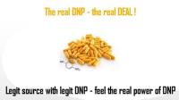 Buy DNP Online | DNP 2 4 Dinitrophenol for sale image 10