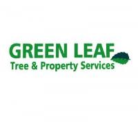 Greenleaf Tree & Property Services image 1