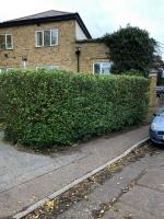 Burley Tree Services image 2