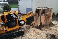 Stump Busters South Yorkshire image 5