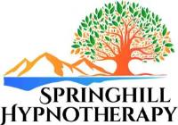 Springhill Hypnotherapy image 1