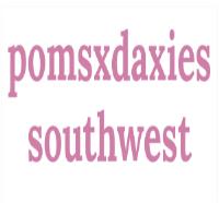 Pomsxdaxies Southwest image 1