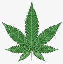 Cannabisshoponline.co.uk logo