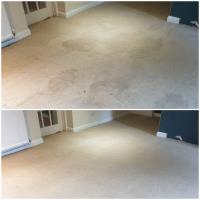 Johnshaven Carpet Cleaning Services image 4