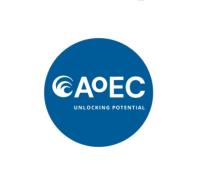 Academy of Executive Coaching Ltd (AoEC) image 1
