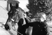 Alice Meek Equine Massage Therapy image 2