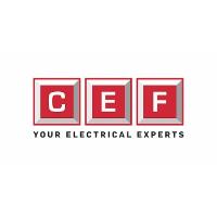 City Electrical Factors image 1
