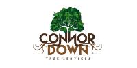 Connor Down Tree Services image 1