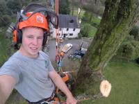 Connor Down Tree Services image 2