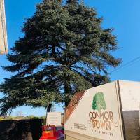 Connor Down Tree Services image 3
