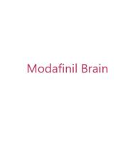 Modafinil Brain image 1
