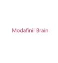 Modafinil Brain logo