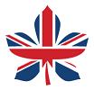 British dissertation help logo