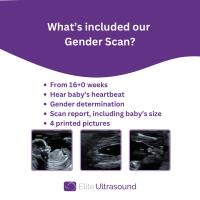 Elite Ultrasound image 5