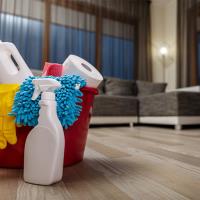 Freedom Domestic Cleaning Services image 2