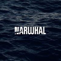 Narwhal Media Group image 1