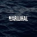Narwhal Media Group logo