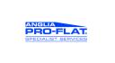 Pro-Flat Specialist Services Ltd logo