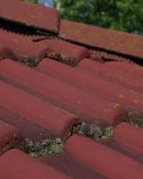 Roof Cleaning Frome image 4