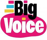 Big Voice Ltd image 1