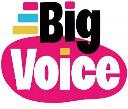 Big Voice Ltd logo