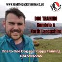 Lead the pack dog training logo